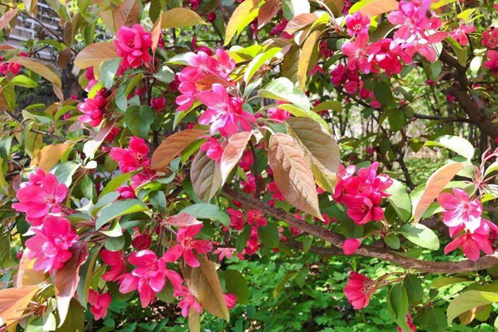 1750404220165308.jpg 1646986213170294.jpg